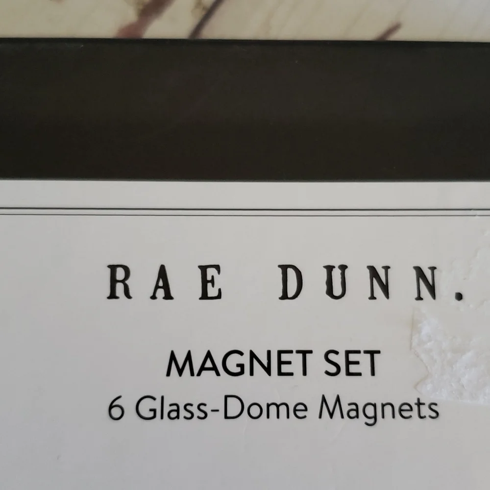 Rae Dunn glass dome magnets set new